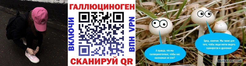 купить наркоту  KRAKEN зеркало  Псилоцибиновые грибы Psilocybine cubensis  Емва 